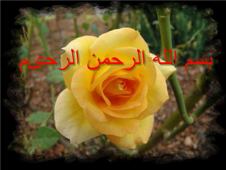 پاورپوینت ترومای عضلانی اسکلتی