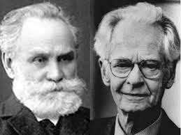 پاورپوینت نظریه های یادگیری رفتاری  پاولف ، ثرندایک و اسکینر